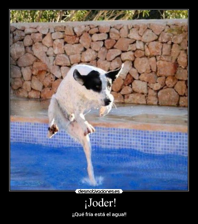 carteles pantera11 desmotivaciones