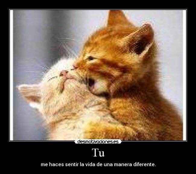 Tu - me haces sentir la vida de una manera diferente.
