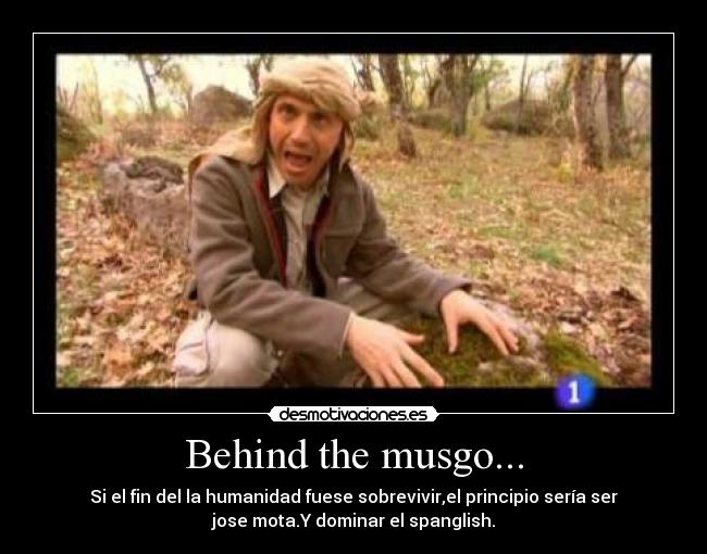 Behind the musgo... -