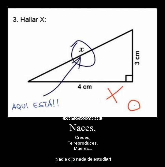 Naces, - Creces,
Te reproduces,
Mueres...
¡Nadie dijo nada de estudiar!
