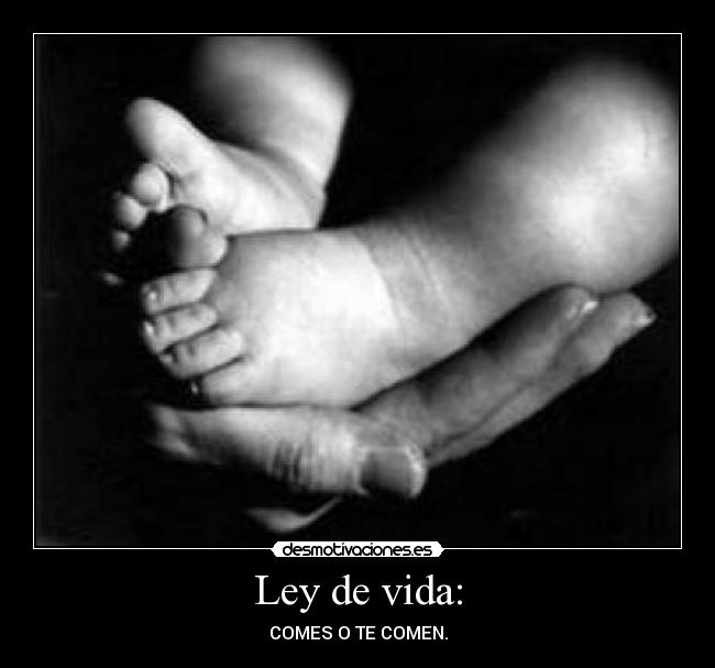 Ley de vida: -