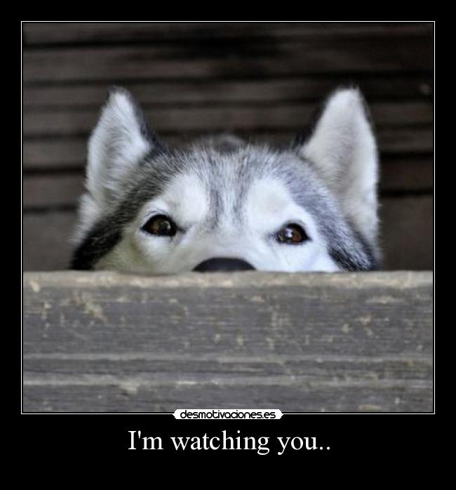 Im watching you.. - 