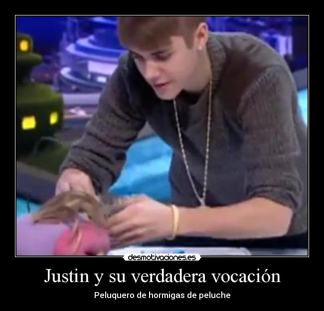 Justin y su verdadera vocación - Peluquero de hormigas de peluche