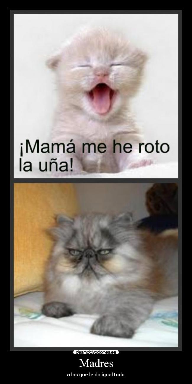 Madres - a las que le da igual todo.