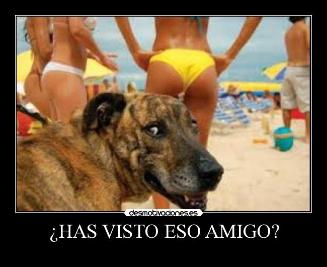 ¿HAS VISTO ESO AMIGO? - 