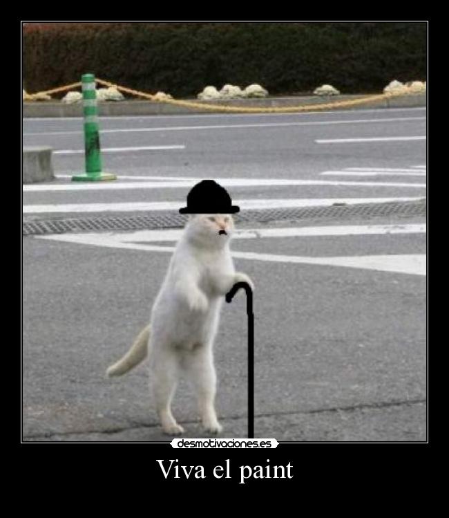 Viva el paint -