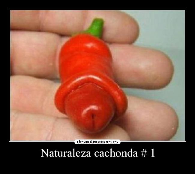 Naturaleza cachonda # 1 -