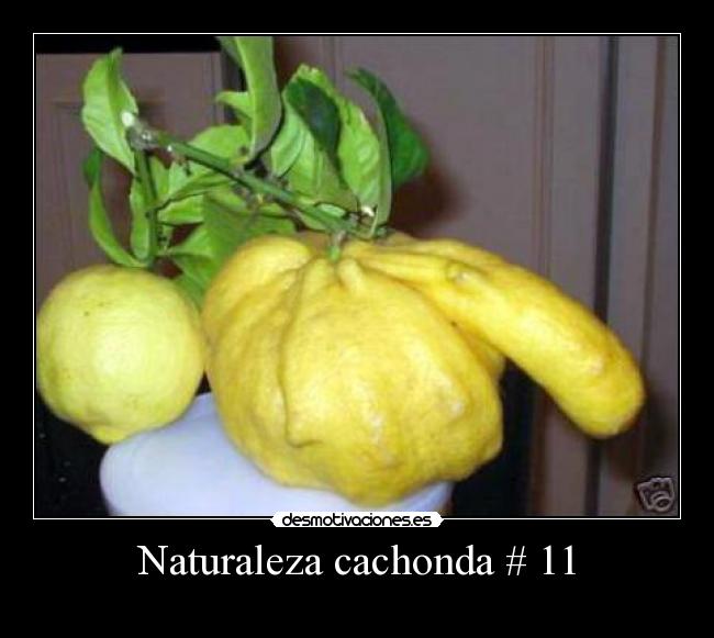 Naturaleza cachonda # 11 - 