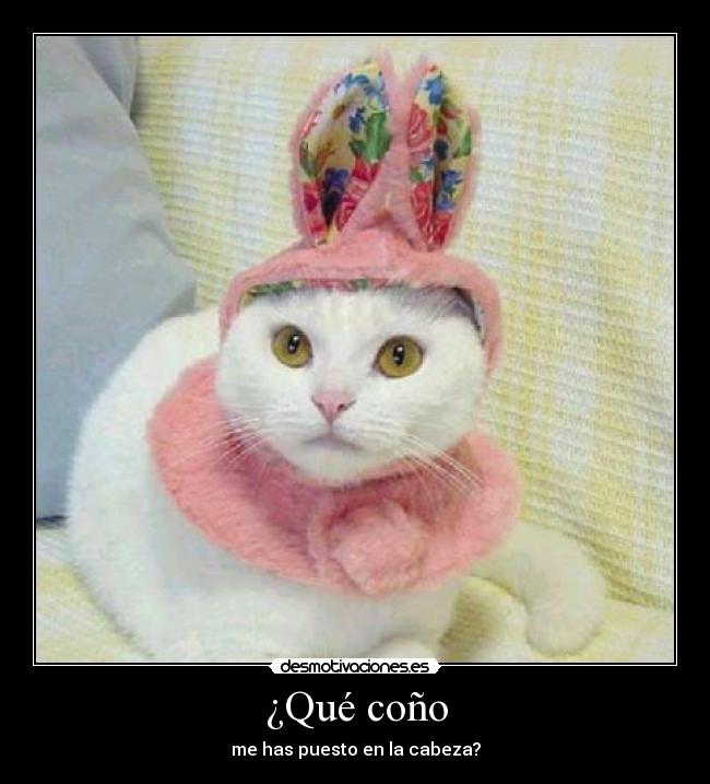 ¿Qué coño - me has puesto en la cabeza?