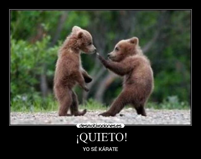 ¡QUIETO! -