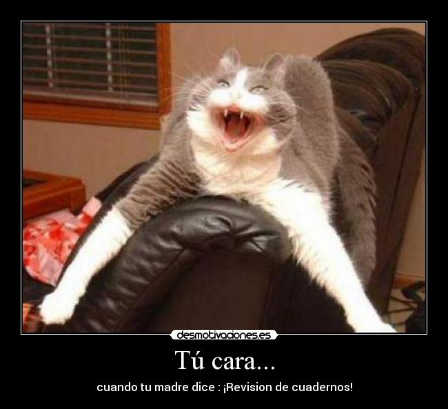 carteles cara desmotivaciones