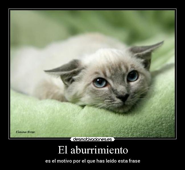 El aburrimiento -