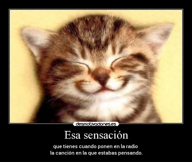 Esa sensación - que tienes cuando ponen en la radio
la canción en la que estabas pensando.