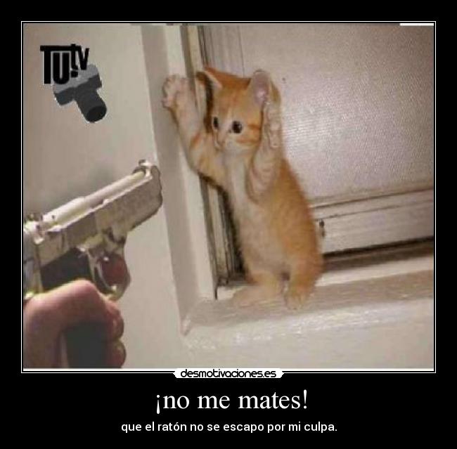 ¡no me mates! - que el ratón no se escapo por mi culpa.