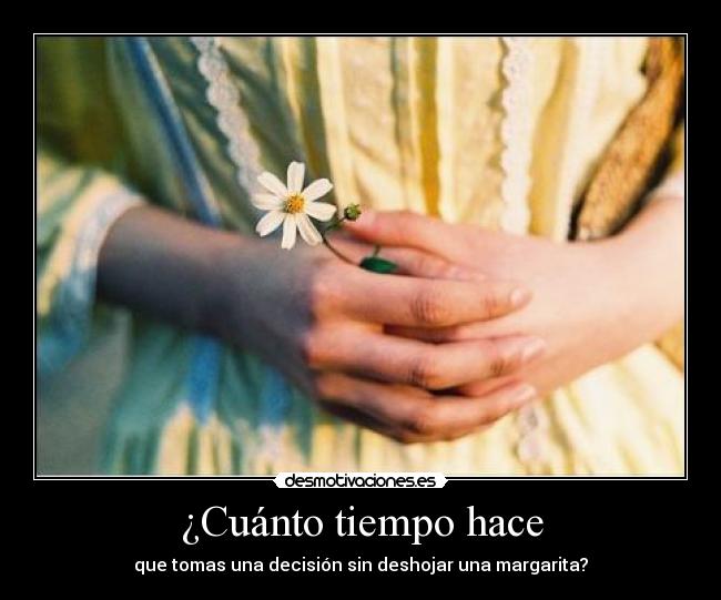 ¿Cuánto tiempo hace - que tomas una decisión sin deshojar una margarita?