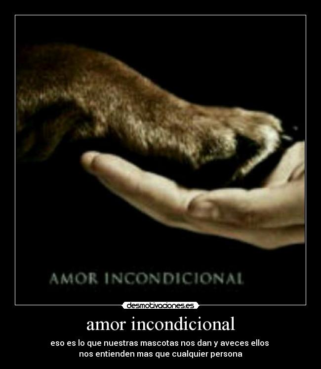 amor incondicional - eso es lo que nuestras mascotas nos dan y aveces ellos
nos entienden mas que cualquier persona
