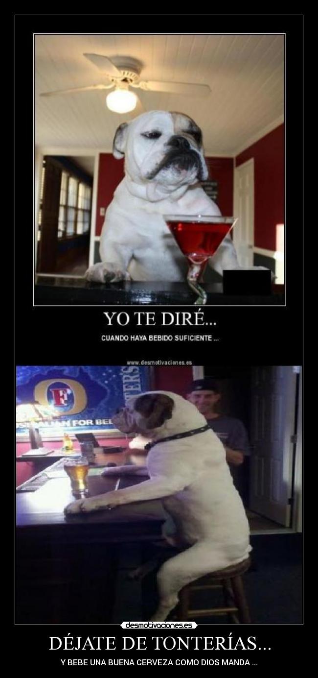 DÉJATE DE TONTERÍAS... - Y BEBE UNA BUENA CERVEZA COMO DIOS MANDA ...
