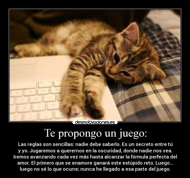 Te propongo un juego: - Las reglas son sencillas: nadie debe saberlo. Es un secreto entre tú
y yo. Jugaremos a querernos en la oscuridad, donde nadie nos vea.
Iremos avanzando cada vez más hasta alcanzar la fórmula perfecta del
amor. El primero que se enamore ganará este estúpido reto. Luego...
luego no sé lo que ocurre; nunca he llegado a esa parte del juego.