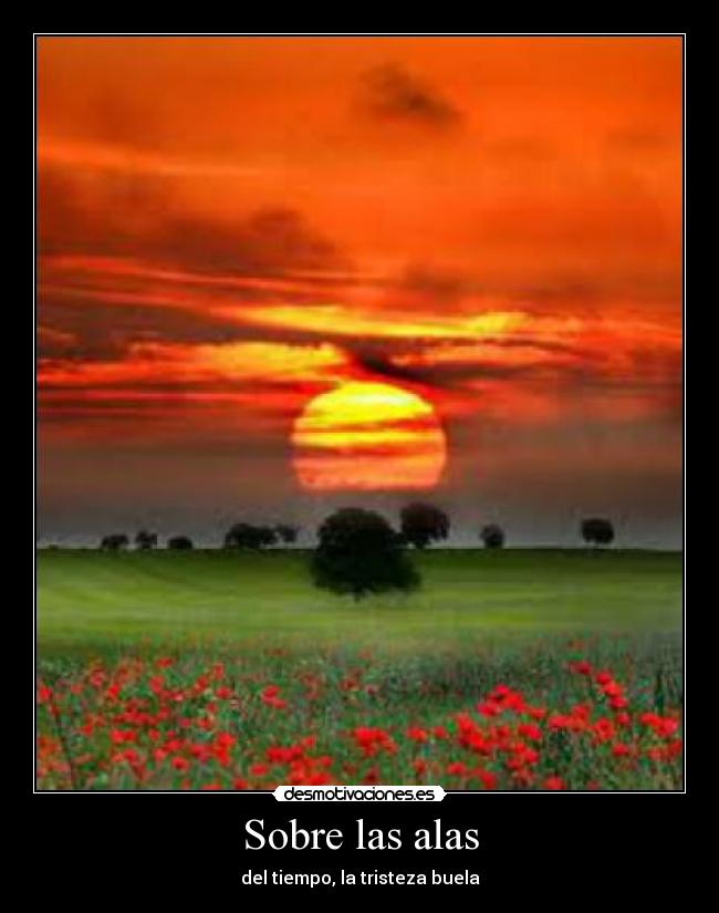 Sobre las alas - del tiempo, la tristeza buela