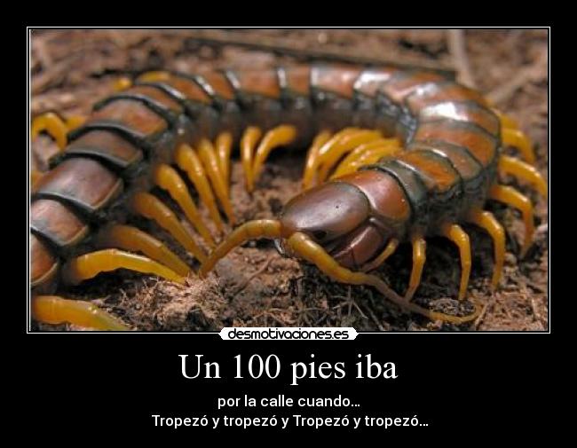 Un 100 pies iba - por la calle cuando…
Tropezó y tropezó y Tropezó y tropezó…