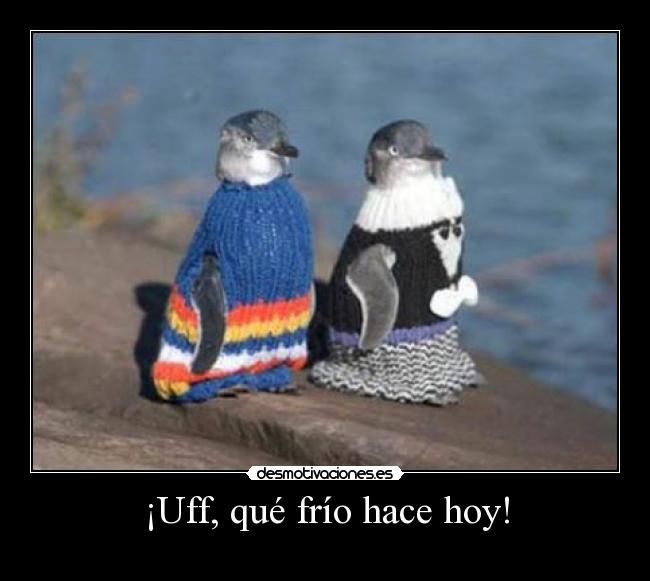 ¡Uff, qué frío hace hoy! -