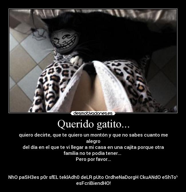 Querido gatito... - quiero decirte, que te quiero un montón y que no sabes cuanto me
alegro
del día en el que te vi llegar a mi casa en una cajita porque otra
familia no te podía tener... 
Pero por favor...
 

¡NhO paSH3es p0r sfEL teklAdh0 deLR pUto OrdheNaDorgH CkuANdO eShToY
esFcriBiendHO!