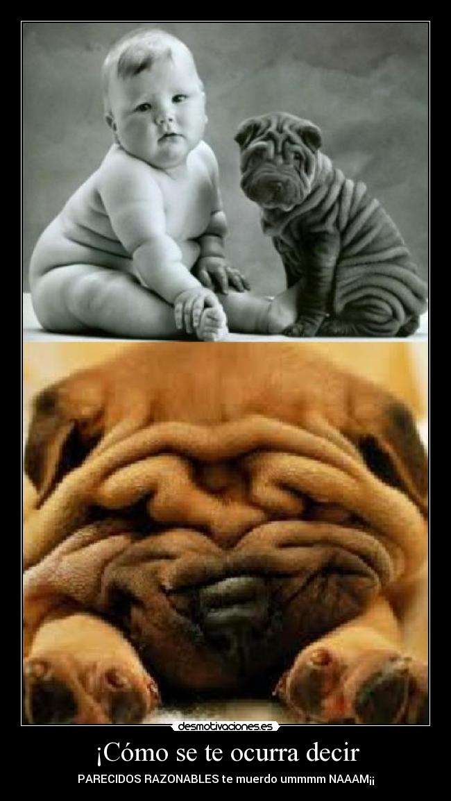 ¡Cómo se te ocurra decir -