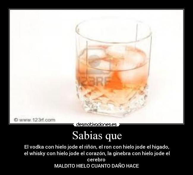Sabias que - El vodka con hielo jode el riñón, el ron con hielo jode el higado,
el whisky con hielo jode el corazón, la ginebra con hielo jode el
cerebro
MALDITO HIELO CUANTO DAÑO HACE