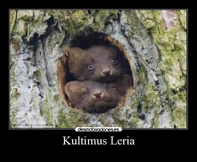 Kultimus Leria -
