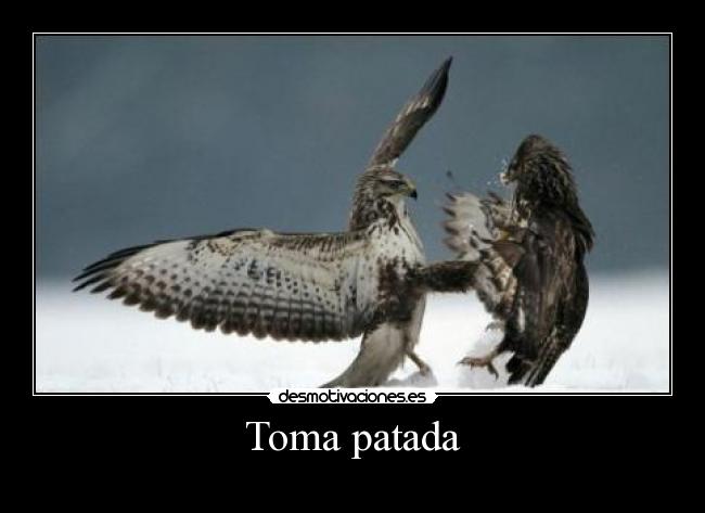 Toma patada -