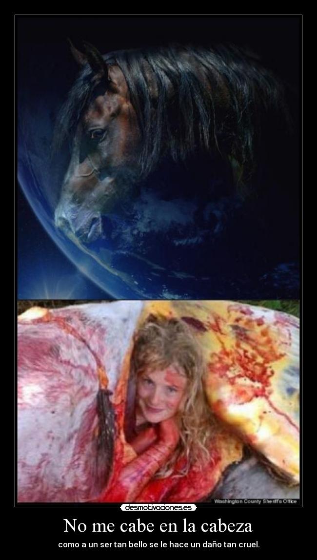 No me cabe en la cabeza - 