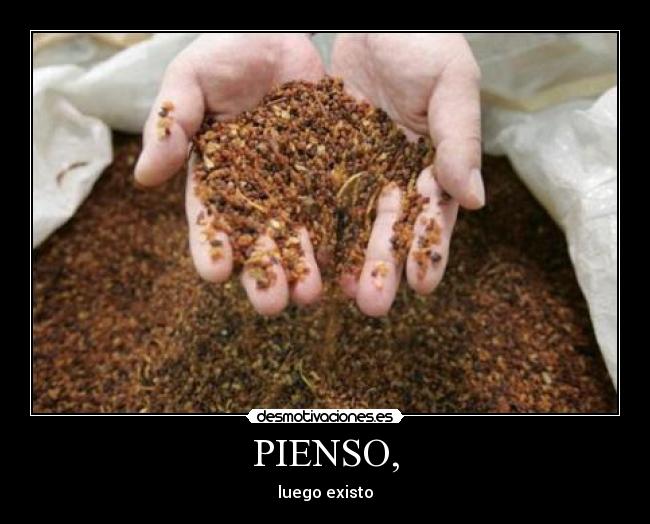 PIENSO, - luego existo