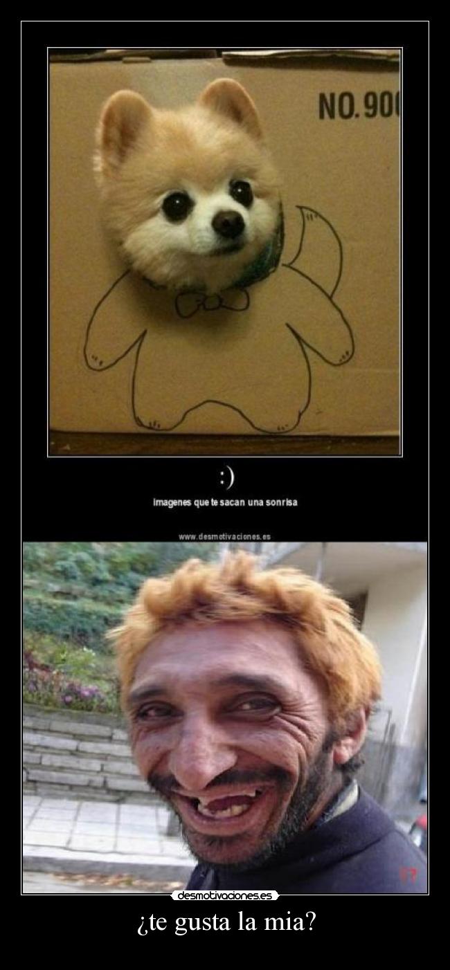 ¿te gusta la mia? -