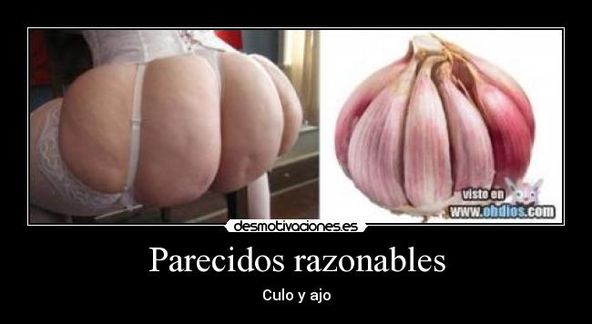 Parecidos razonables -