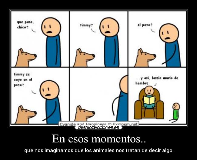 En esos momentos.. - que nos imaginamos que los animales nos tratan de decir algo.