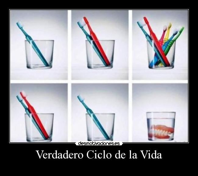Verdadero Ciclo de la Vida - 
