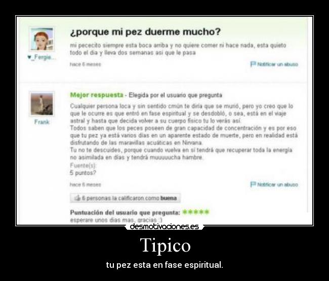 Tipico - 