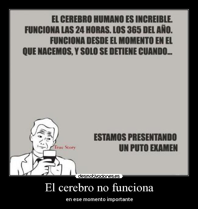 El cerebro no funciona - 