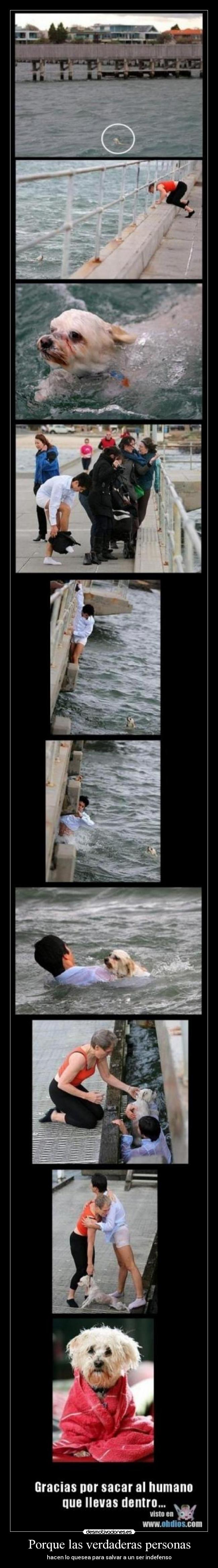 Porque las verdaderas personas -