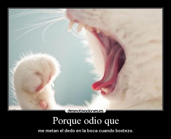 carteles odio bostezo desmotivaciones