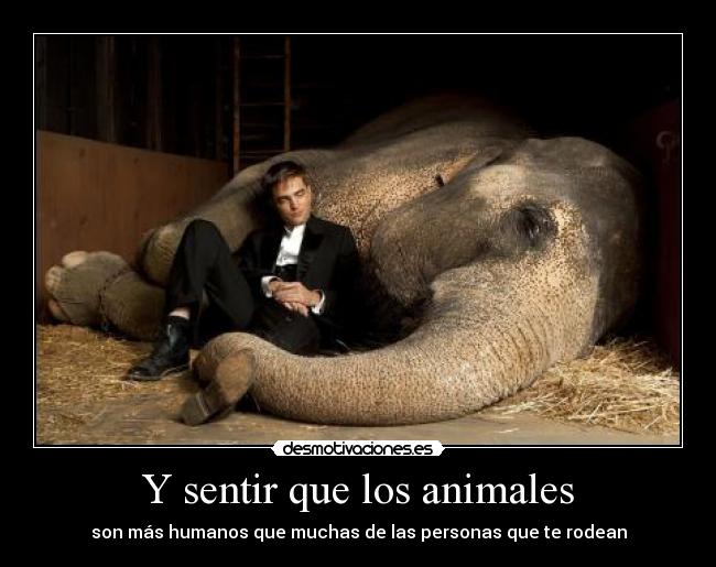 Y sentir que los animales - son más humanos que muchas de las personas que te rodean
