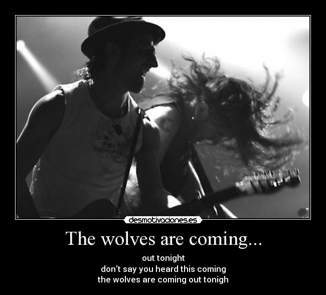 The wolves are coming... - 