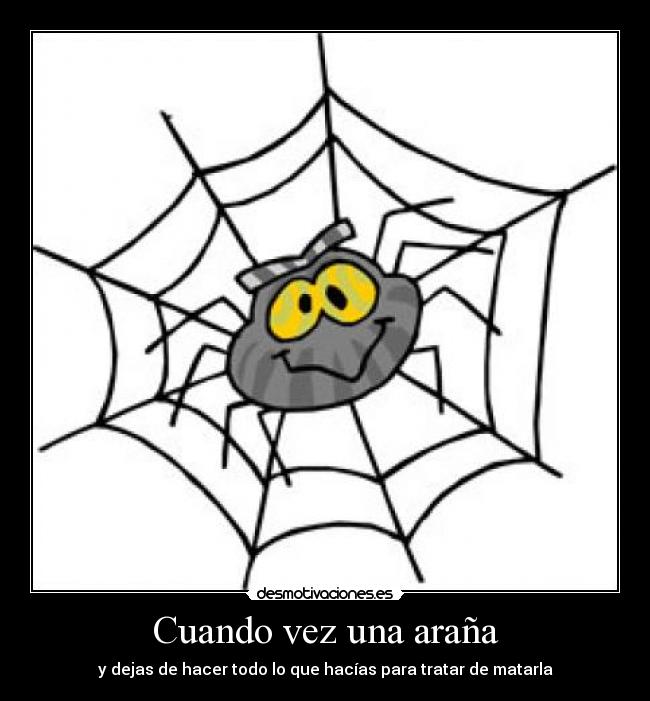 Cuando vez una araña - y dejas de hacer todo lo que hacías para tratar de matarla