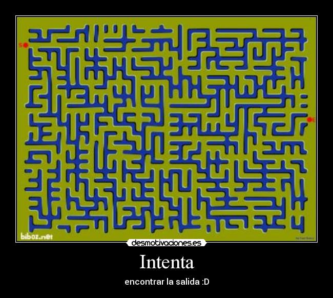 Intenta - 
