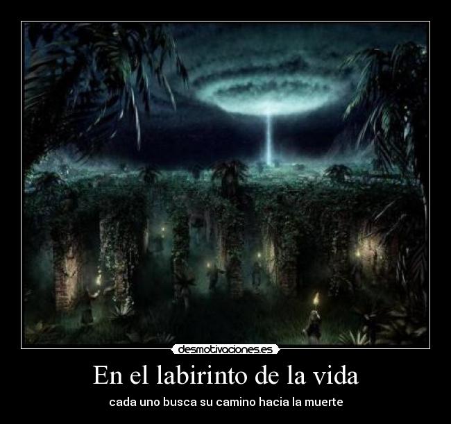 En el labirinto de la vida - 