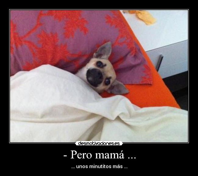 - Pero mamá ... - ... unos minutitos más ...