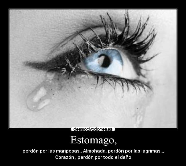 Estomago, - perdón por las mariposas.. Almohada, perdón por las lagrimas...
Corazón♥, perdón por todo el daño