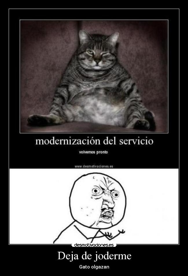 carteles olgazan desmotivaciones