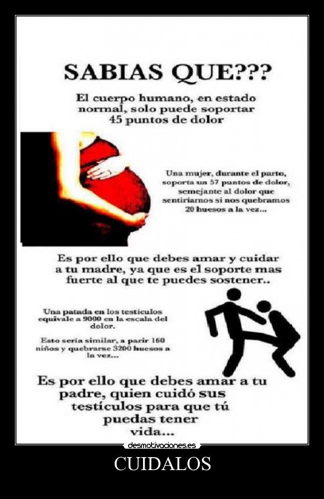 carteles testiculos desmotivaciones