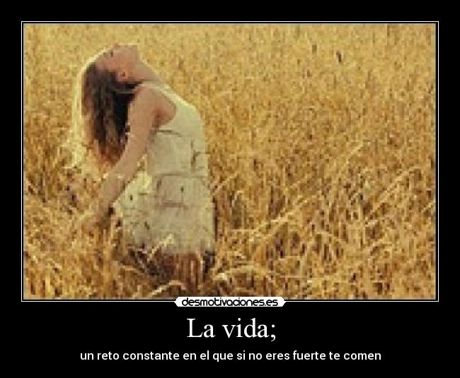La vida; - 